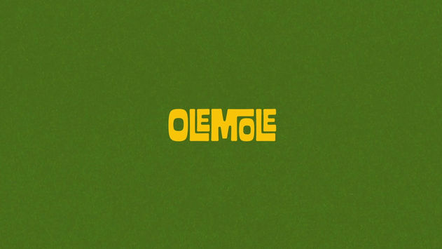 OleMole - Limpiaparabrisas